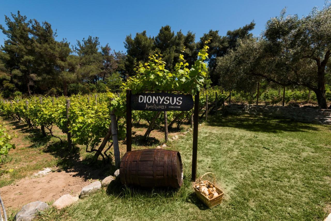 Dionysus Apartments & Suites Ierissós Ngoại thất bức ảnh