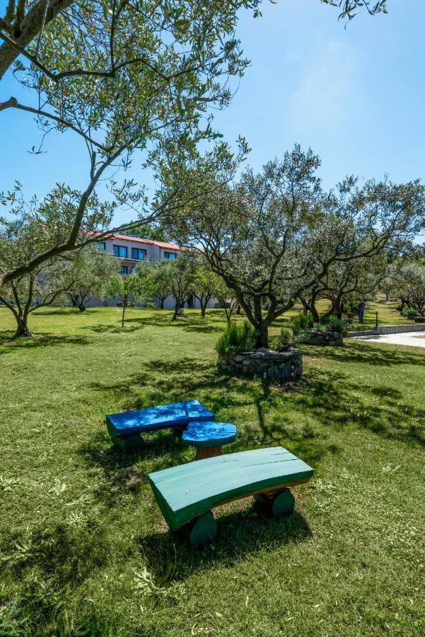 Dionysus Apartments & Suites Ierissós Ngoại thất bức ảnh